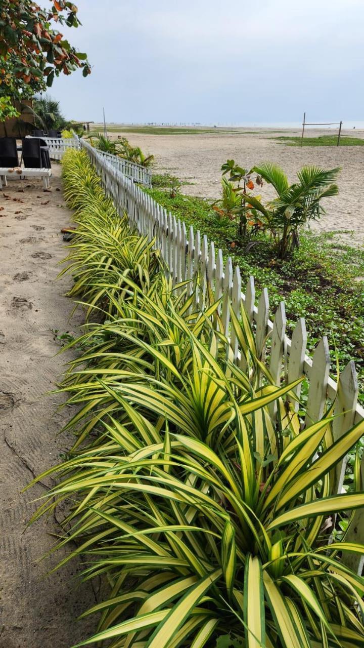 Palm Beach Resort, Alleppey Alappuzha Ngoại thất bức ảnh